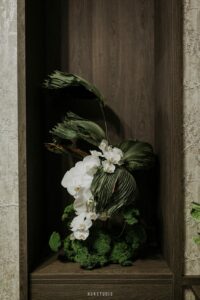 Modern Tropical Grace